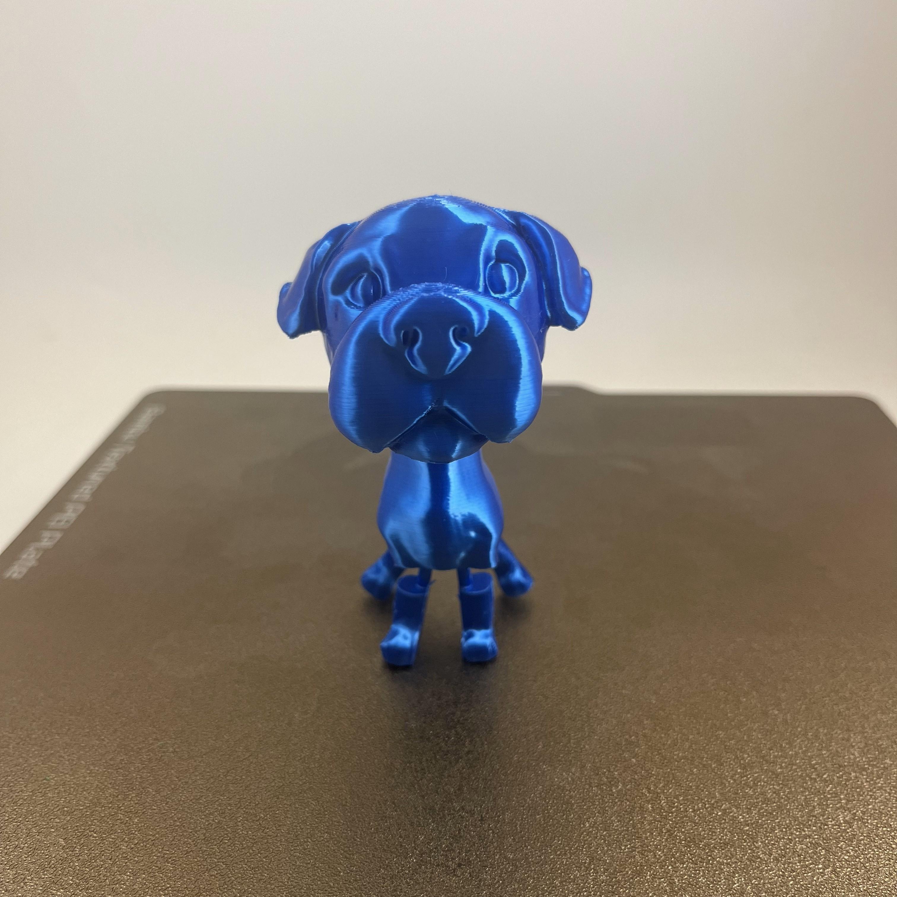 flexy big head dog 3d model