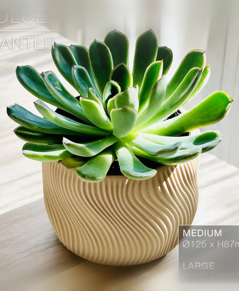 DOLCE  |  Indoor Planter Pot 3d model