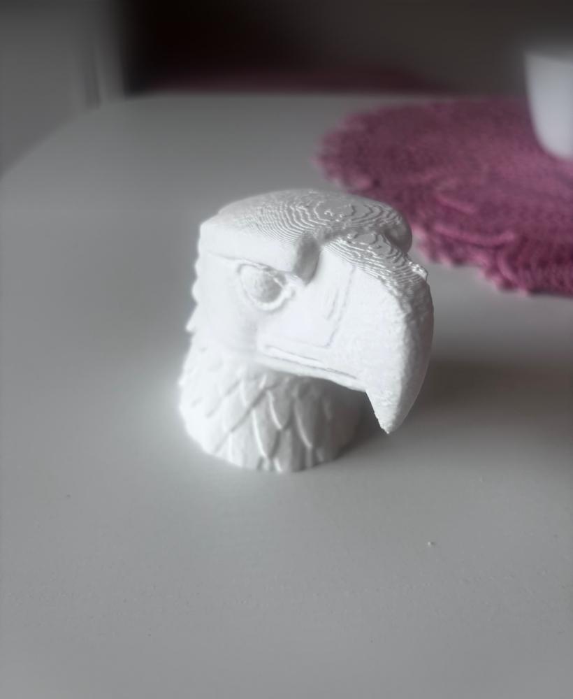 Eagle head 3d model