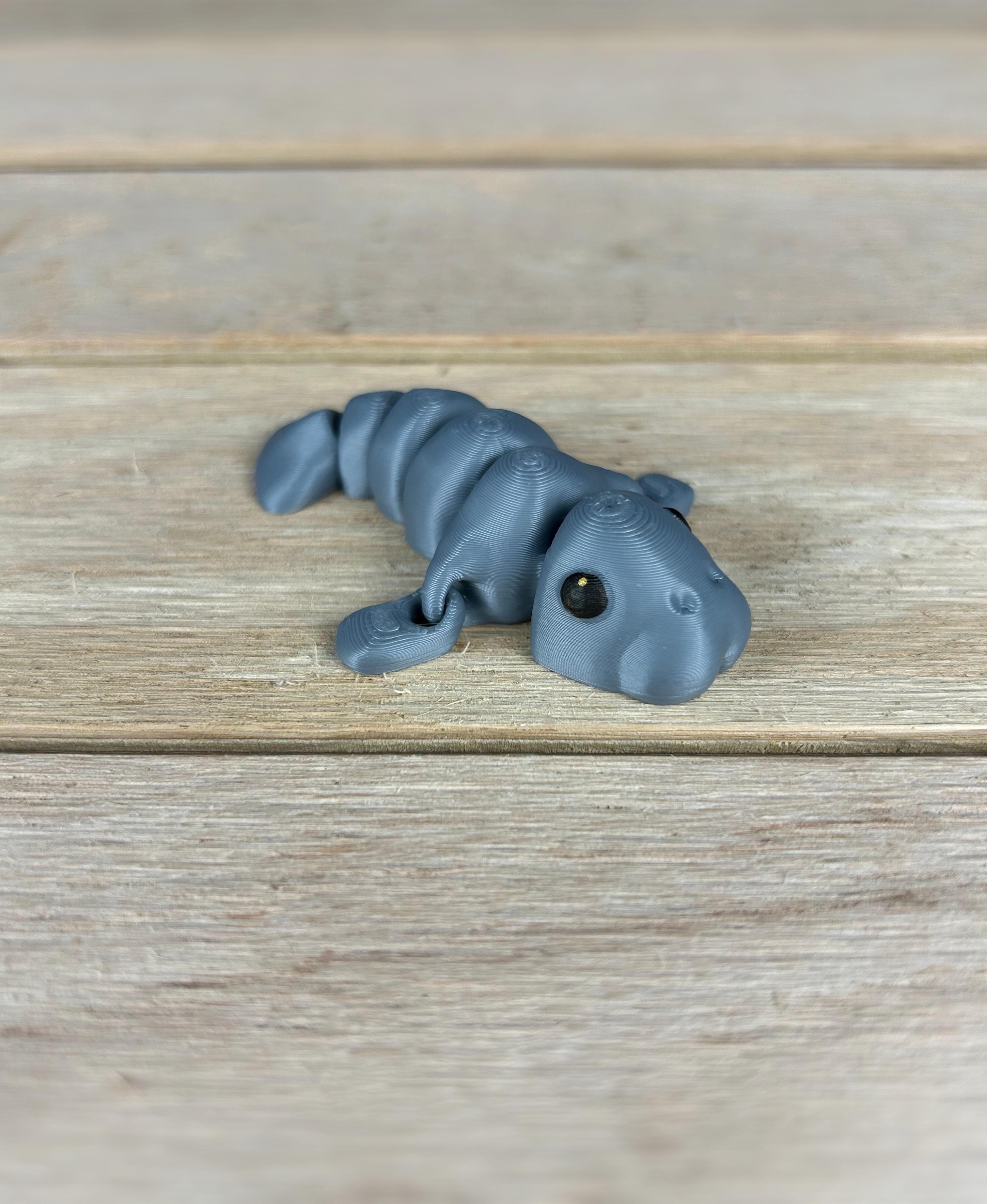 Manatee Fidget 3d model