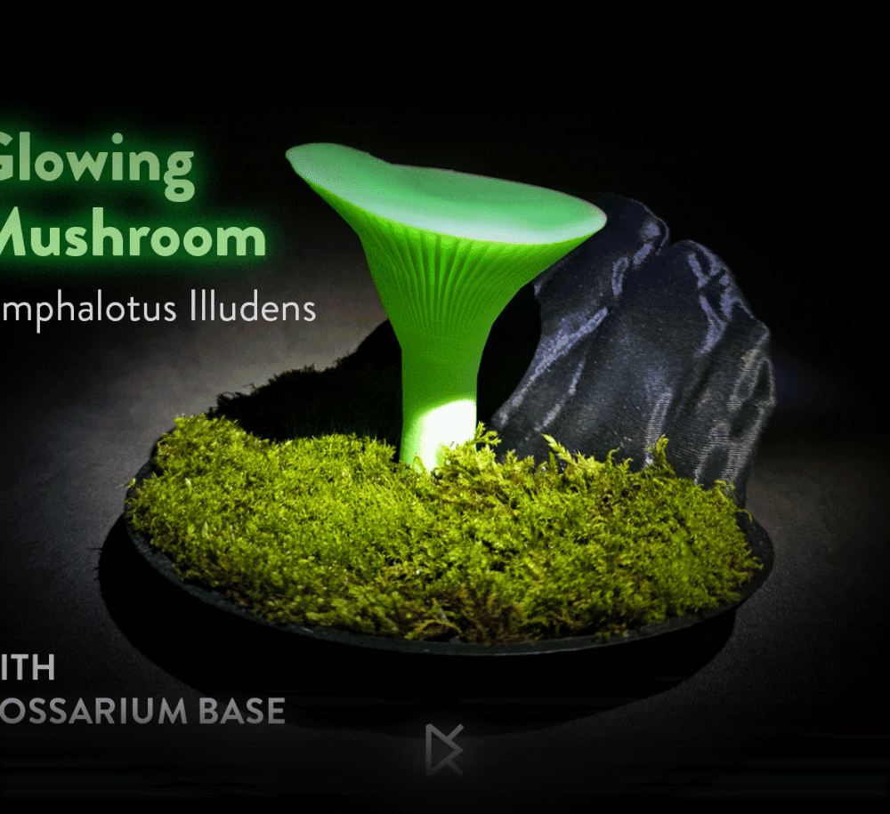 Mushroom Mossarium - Omphalotus Illudens 3d model