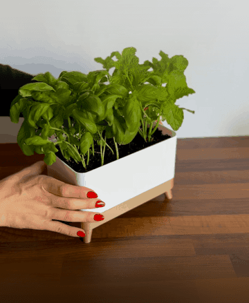 TRUHLIK Herb Planter 3d model