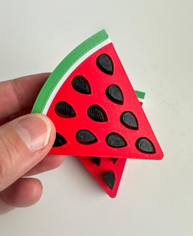 Watermelon Wedge Fidget 3d model