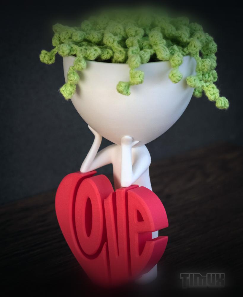 ROBERT PLANT WITH A LOVE HEART 3d model