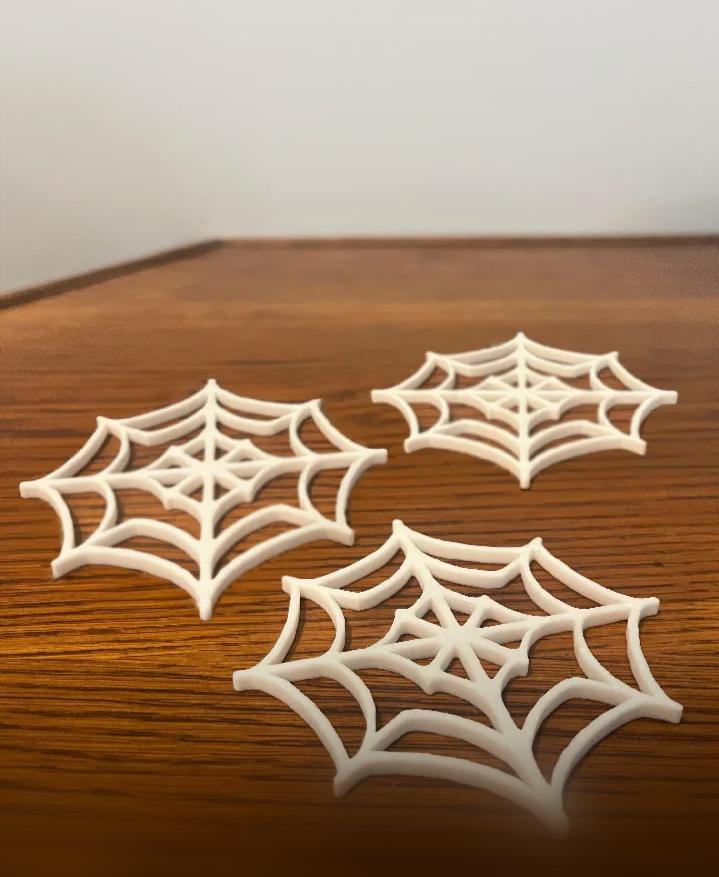 Spider Web Coaster 3d model