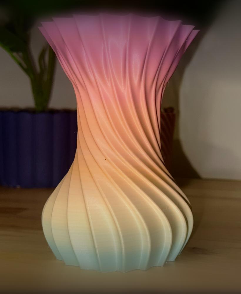 Spiral Vase  3d model