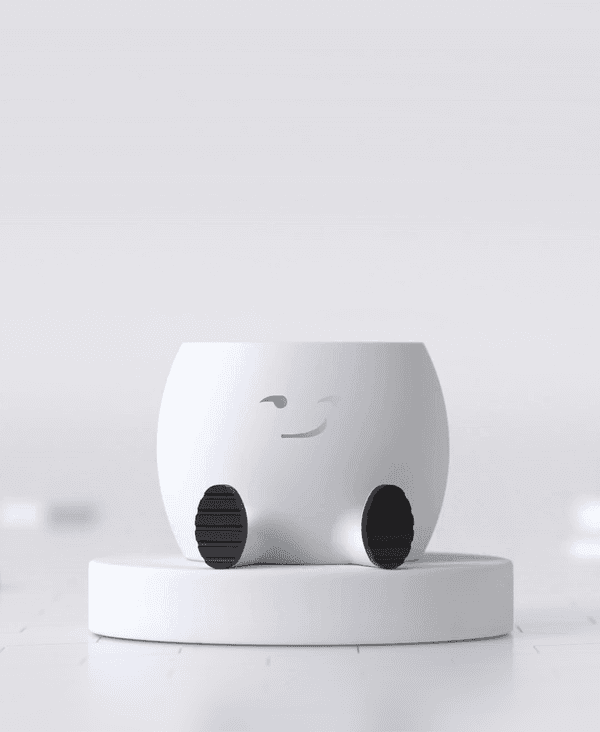 The Smirky Planter 3d model