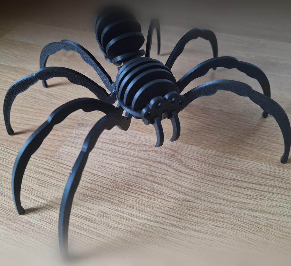 Spider Puzzle (Assembly video included) 3d model