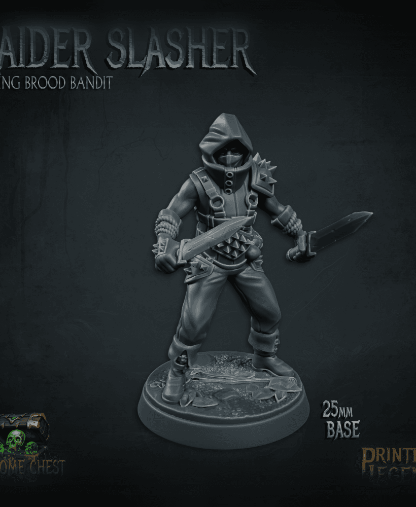 Raider 01 (25mm Base) 3d model