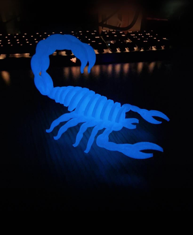 Scorpion Puzzle Kit (Assembly Video inc.) 3d model