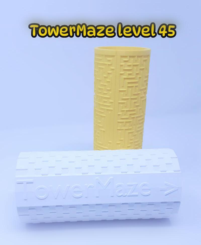 TowerMaze Level 45 3d model