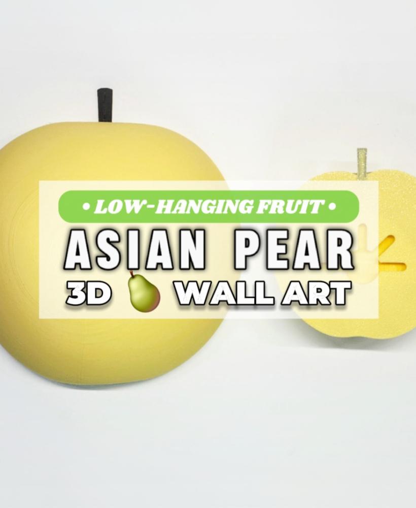 Jumbo Asian Pear Decorative Pop-Out 3D Wall Art :: The 'Low-Hanging Fruit' Collection 3d model