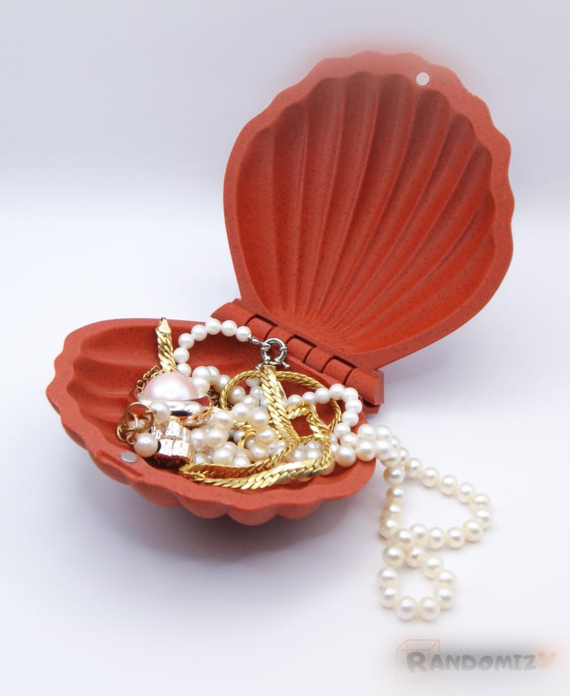 Seashell Shaped Box (Magnets) 3d model