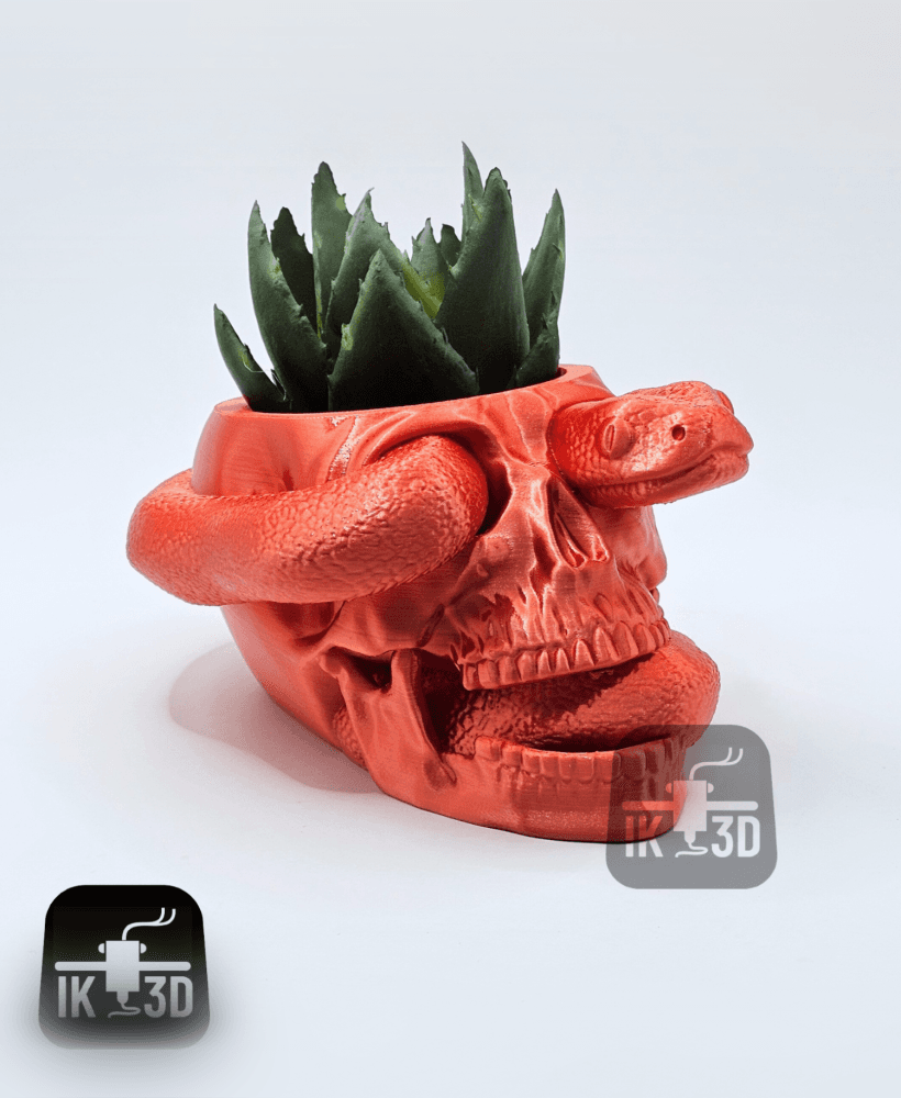 Skull With Snake Planter / With and Without Drainage / No Supports 3d model