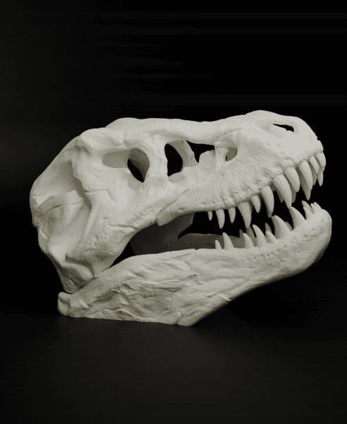 T-Rex Skull (MysticMesh3D) 3d model