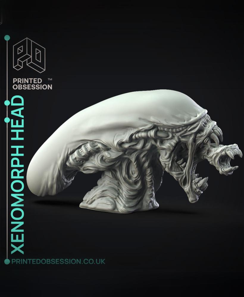 Xenomorph Head - Fan Art - Decoration 3d model