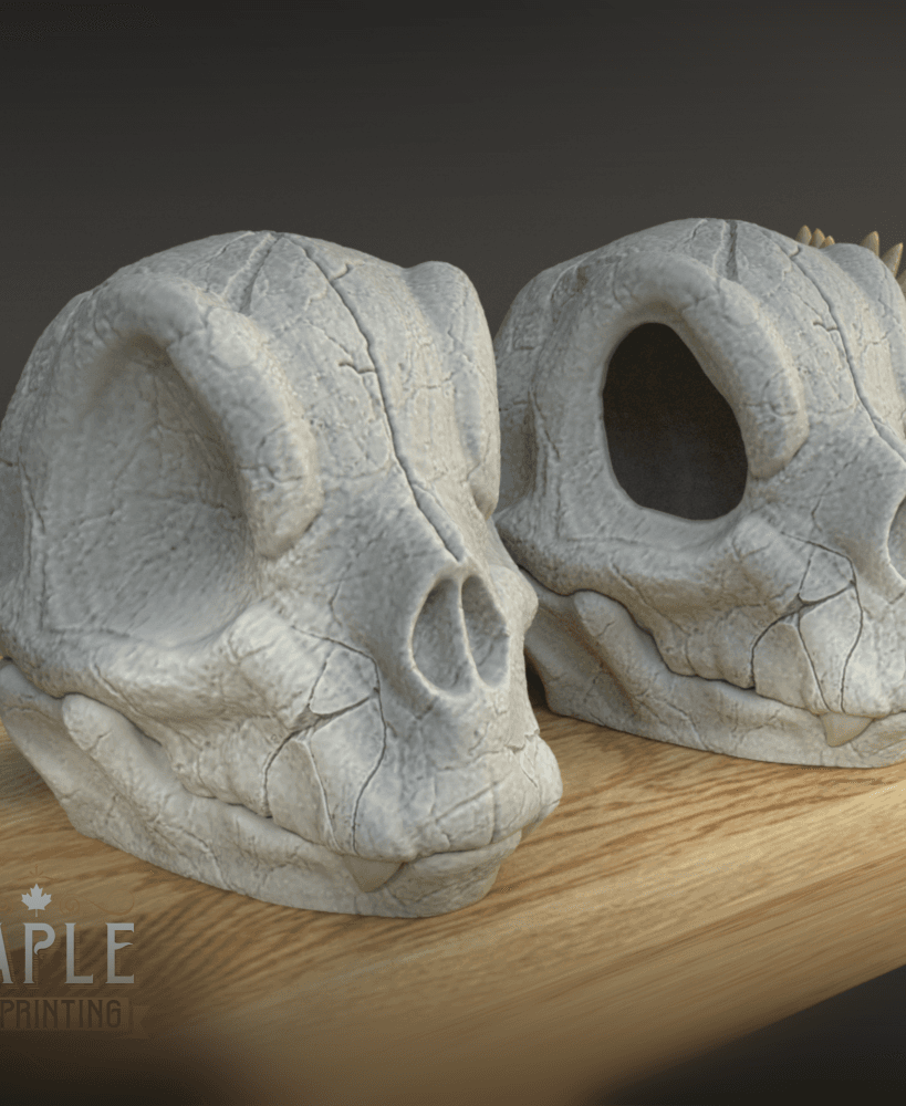 Charmander Skull - Pokemon - Support Free 3d model