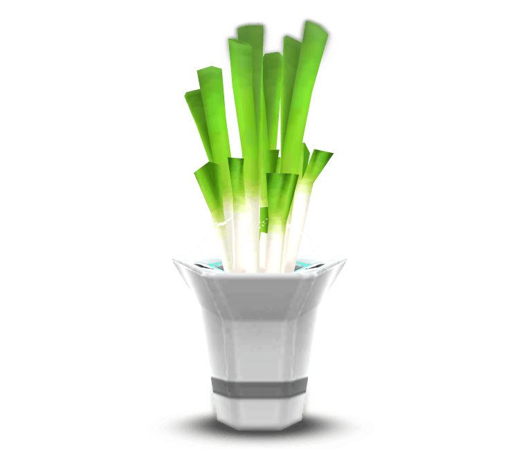 Leeks 3d model