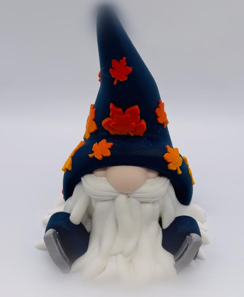 Fall lce Skate Gnome 3d model