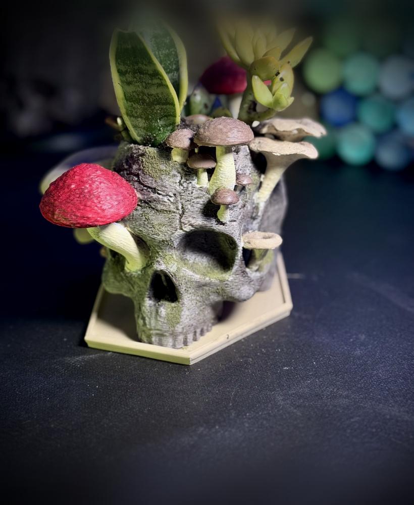 The Reclaimed Skull Planter 3d model