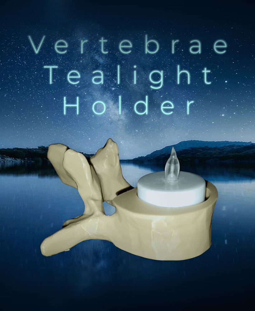 Vertebrae Tealight Holder  3d model