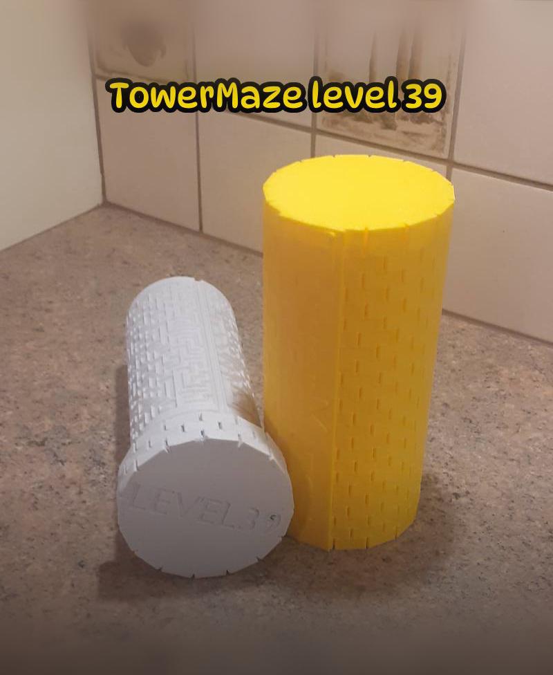 TowerMaze Level 39 3d model