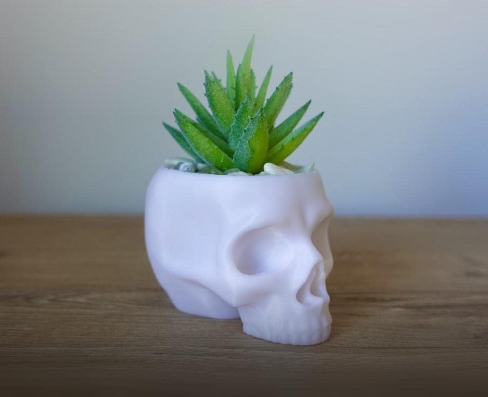 Skull Planter Pot 3d model