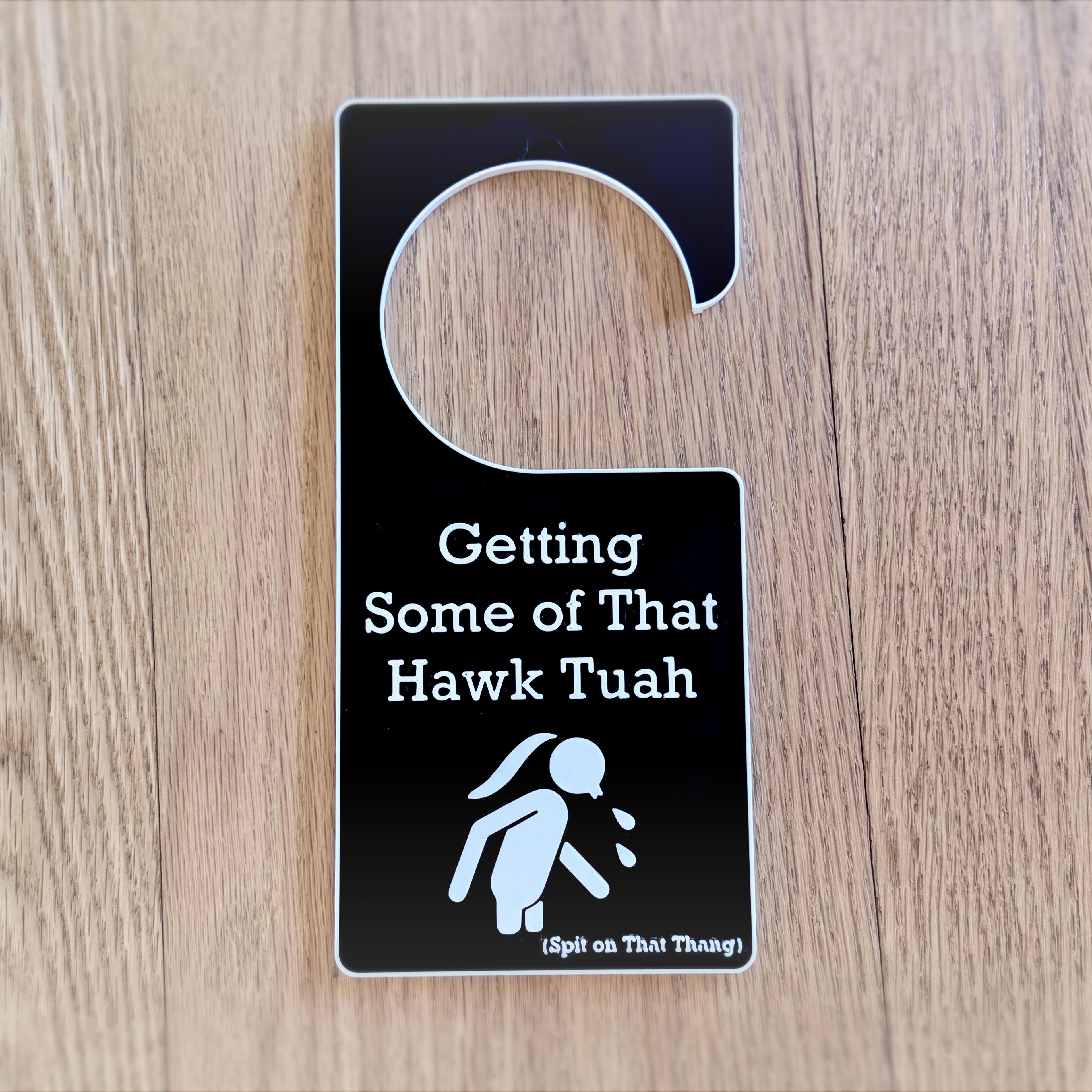 Hawk Tuah Door Hanger 3d model