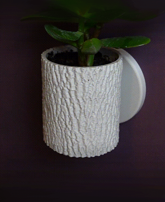 Tree bark planter “Fraxinus Excelsior” 3d model