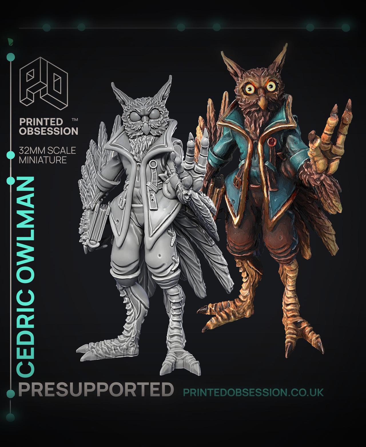 Owlman - Frindly NPC - Cryptids of the Darkwoods - PRESUPPORTED - Illustrated and Stats - 32mm scale 3d model