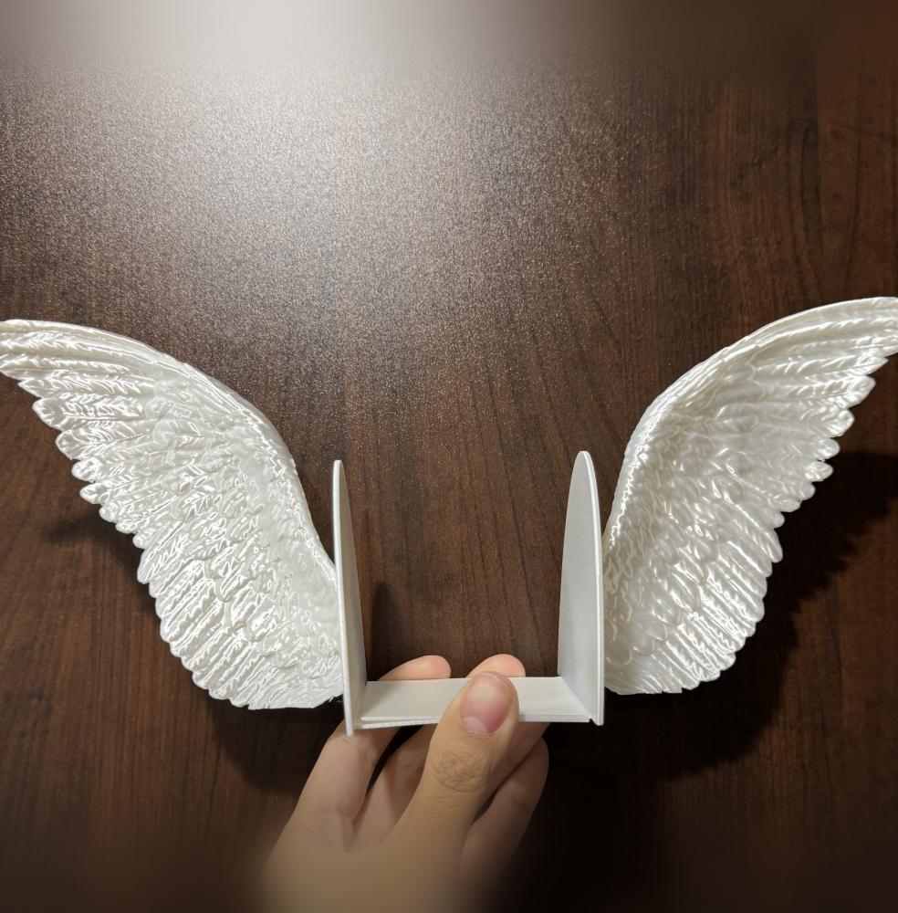 Angel Wings Bookends 3d model