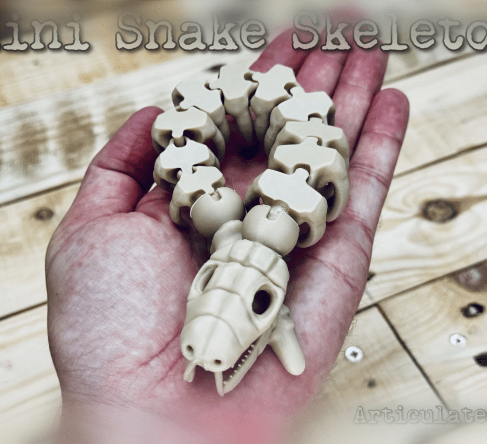 Mini Snake Skeleton 3d model