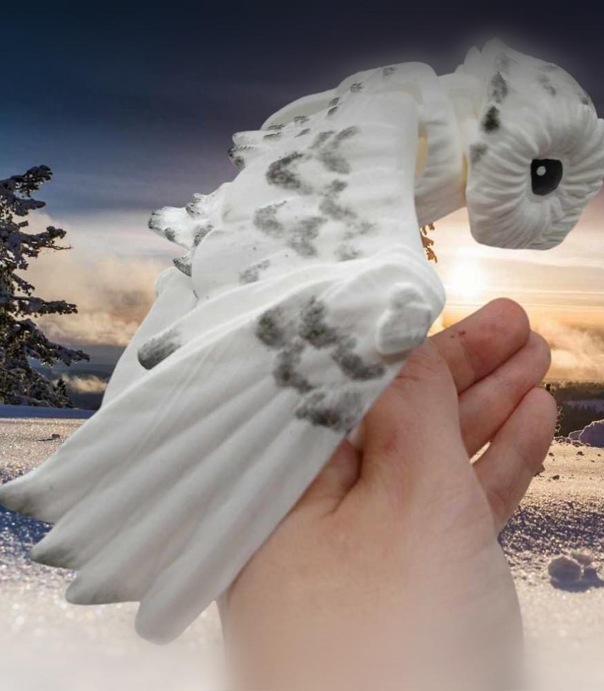 Snow Owl 3d model