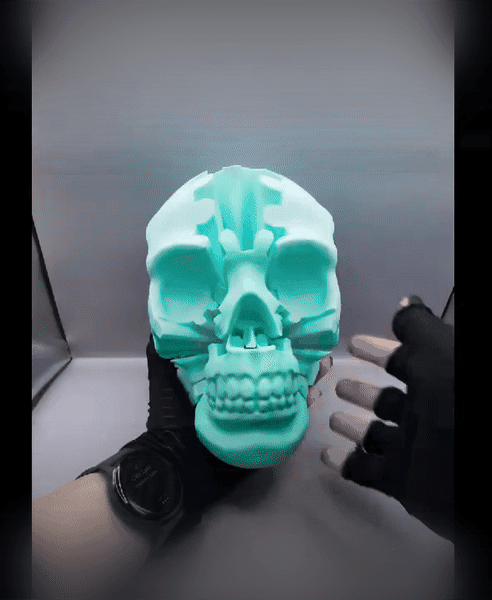 Gear Skull 3d model