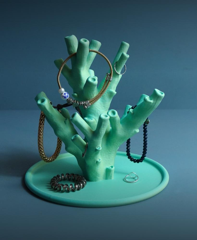 Jewelry holder “echinata coral” 3d model