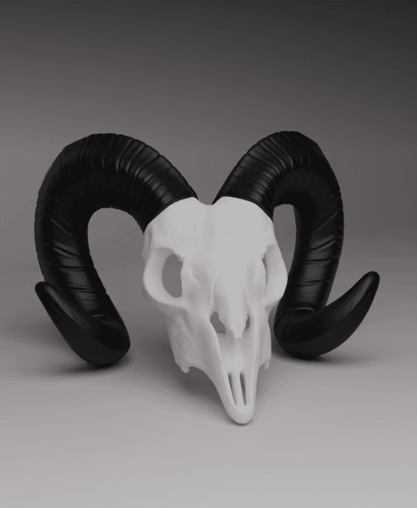 Ram Skull (MysticMesh3D) 3d model