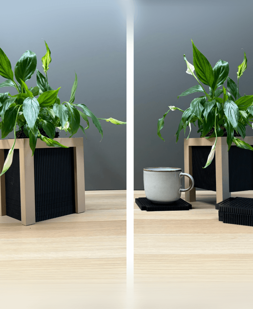 Coasted plants series - #1 (no-ams) 3d model