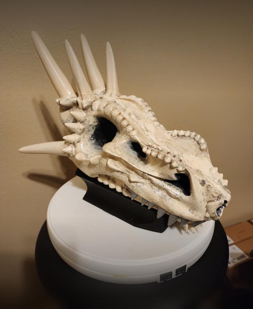 Wicked Dragon Skull With Base 3d model