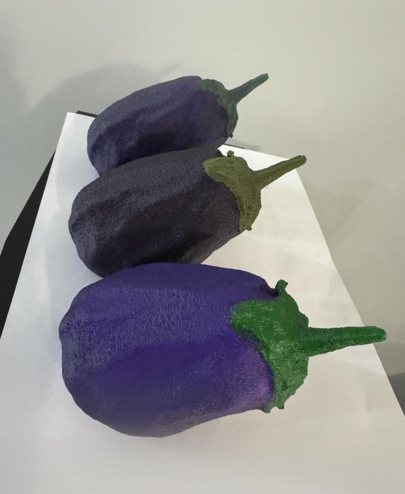 eggplant scan 3d model