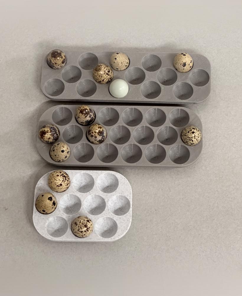 24 Quail Egg Tray 3d model