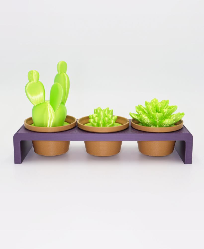 Cactus Pot Plants V2 3d model