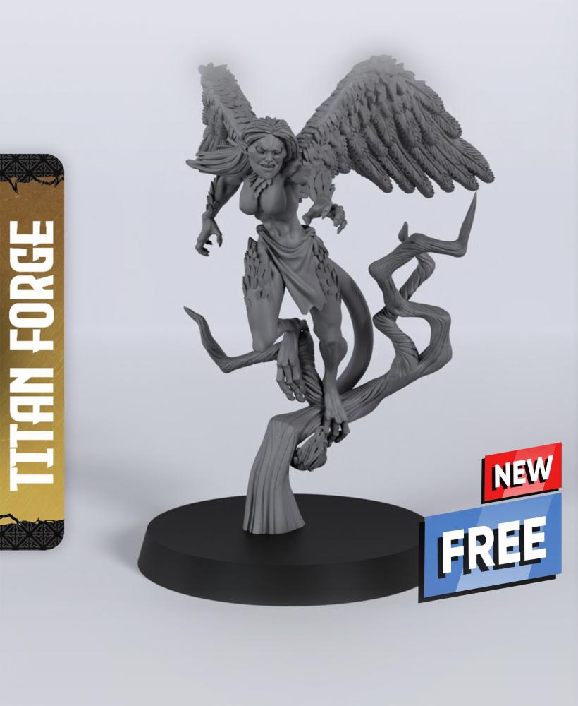 Harpy A - With Free Dragon Warhammer - 5e DnD Inspired for RPG and Wargamers 3d model