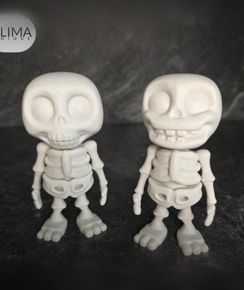 FLEXI SKELETON BUDDIES + KEYCHAIN 3d model