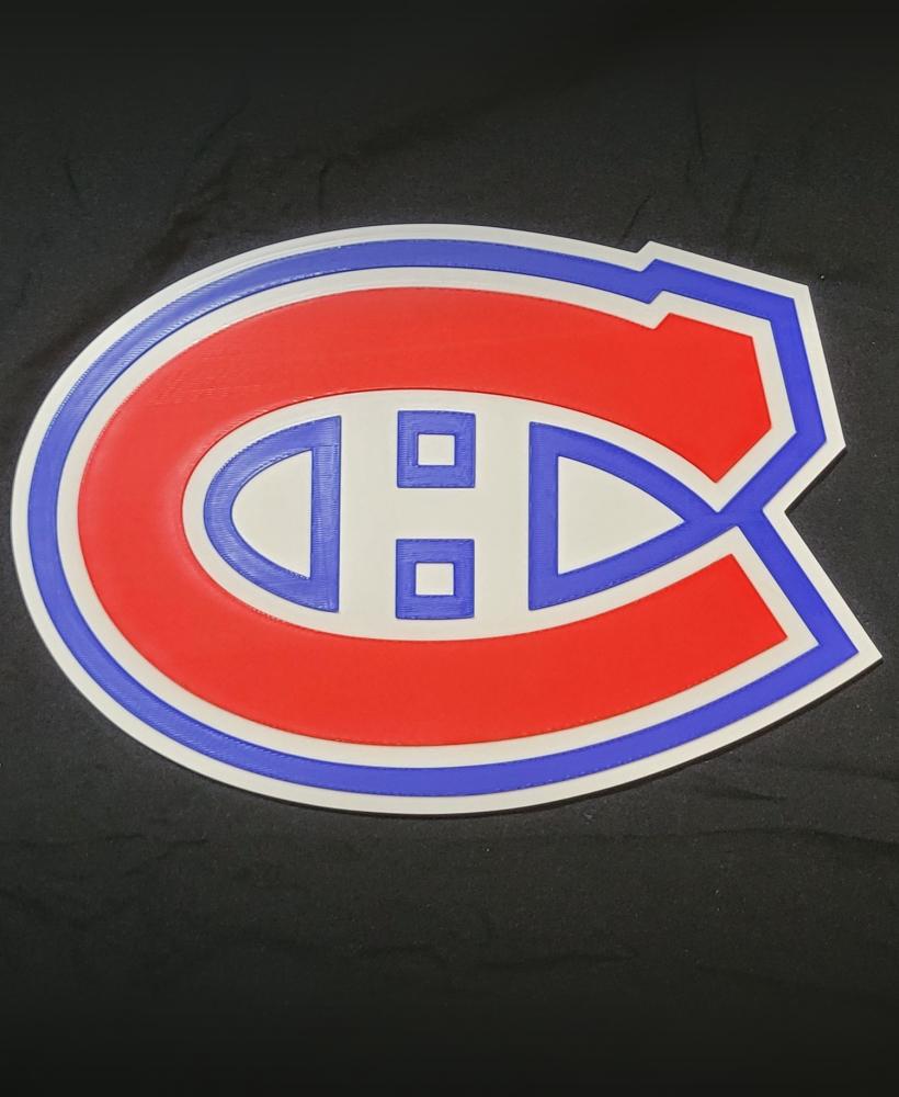 Montreal Canadiens 3d model