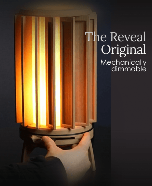 The Reveal Original 3d model