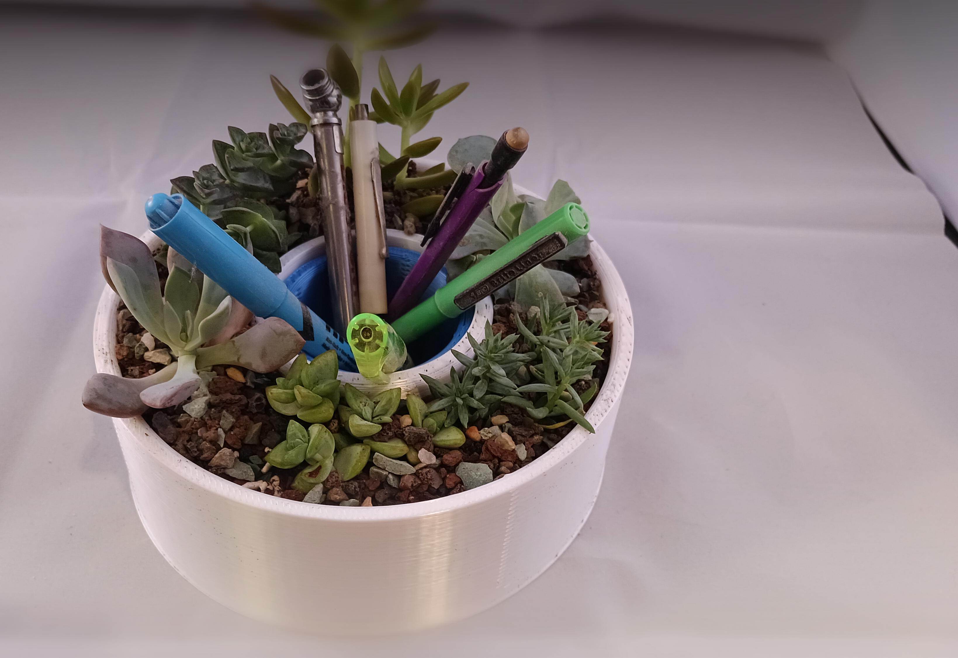 multi succulent planter with inner and outter ring or Succulent planter pot desk organizer  3d model