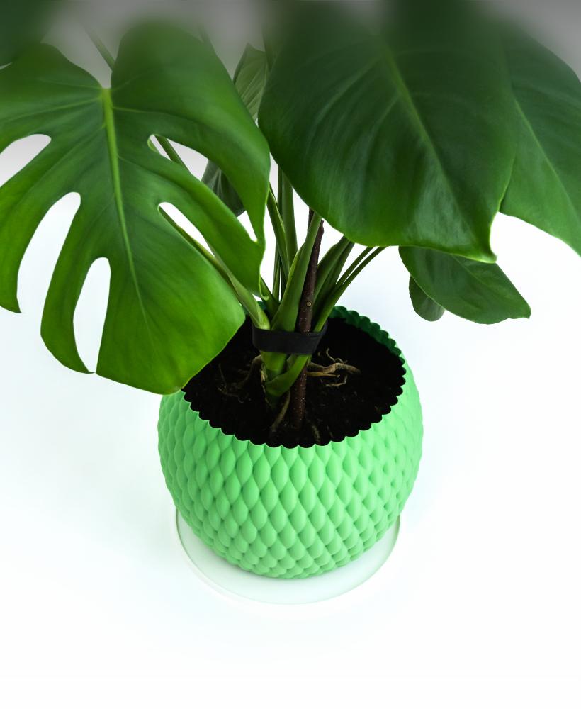 *FREEBIE* PUFFT Planter 3d model