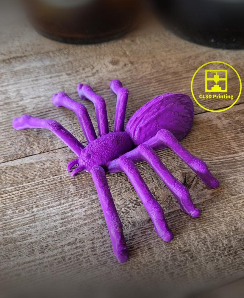 Spider Prop 3d model