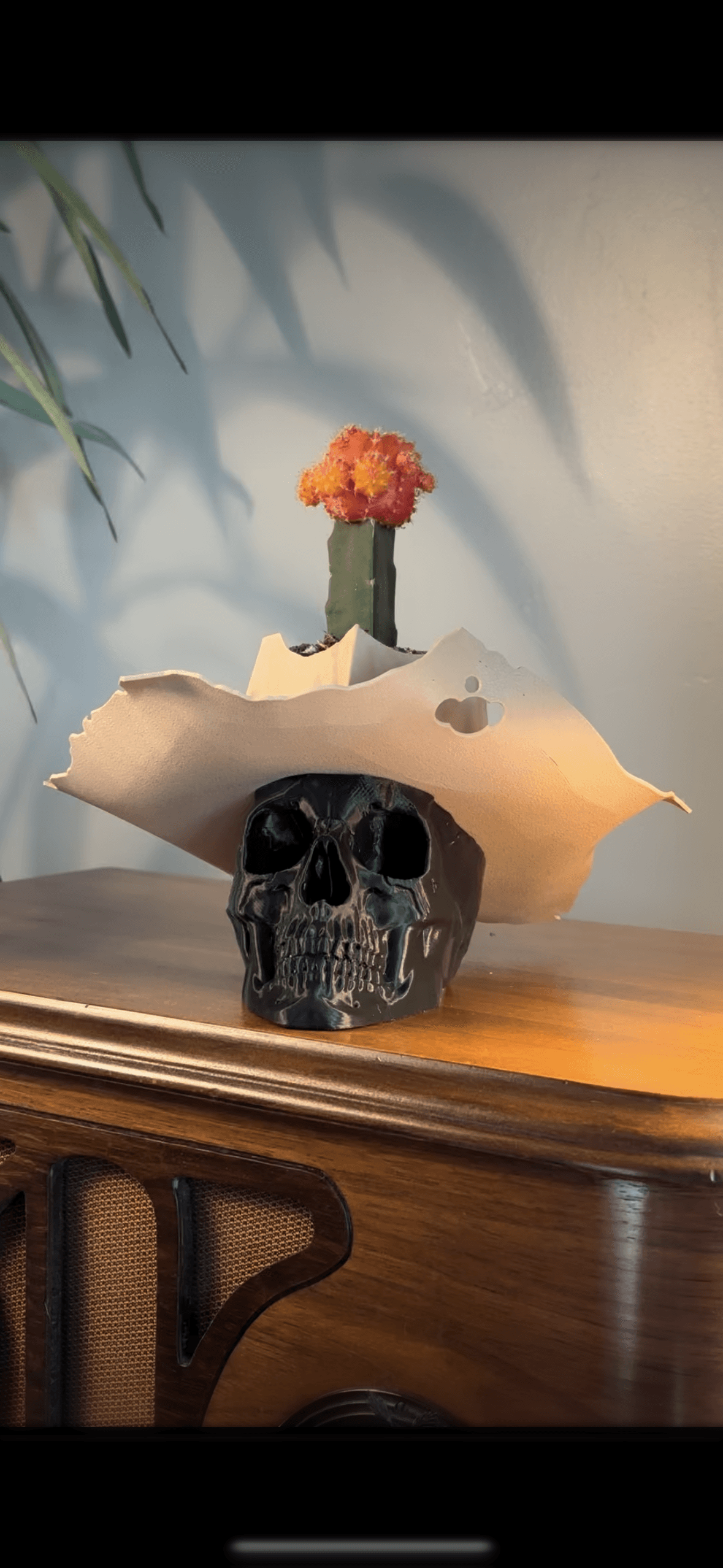 Cowboy Skull Cactus Planter 3d model