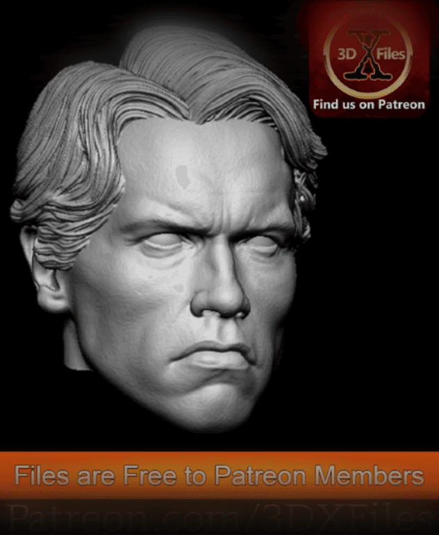 Arnold Schwarzenegger - Head Sculpt 1:6 Scale Hot Toys 1/6th - 3D File 3d model